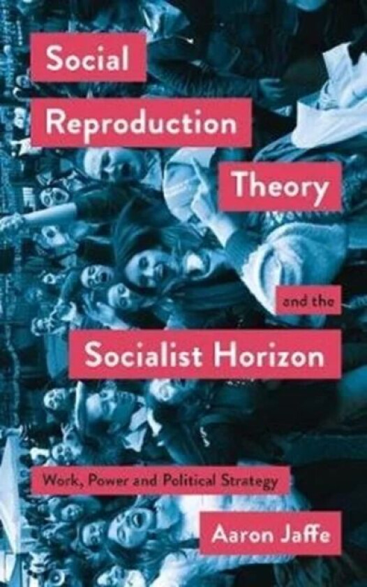 Social Reproduction Theory and the Socialist Horizon av Aaron Jaffe