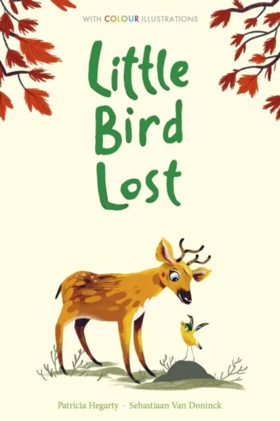 Little Bird Lost av Patricia Hegarty