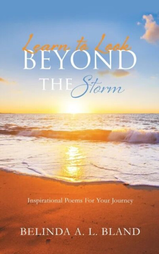 Learn to Look Beyond The Storm av Belinda A L Bland