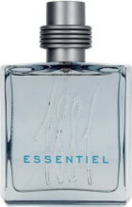 Herre parfyme Cerruti EDT 1881 Essentiel 100 ml