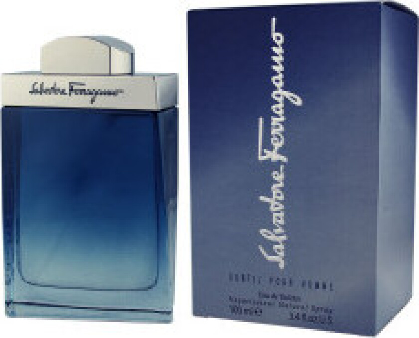 Herre parfyme Salvatore Ferragamo EDT Subtil Pour Homme 100 ml