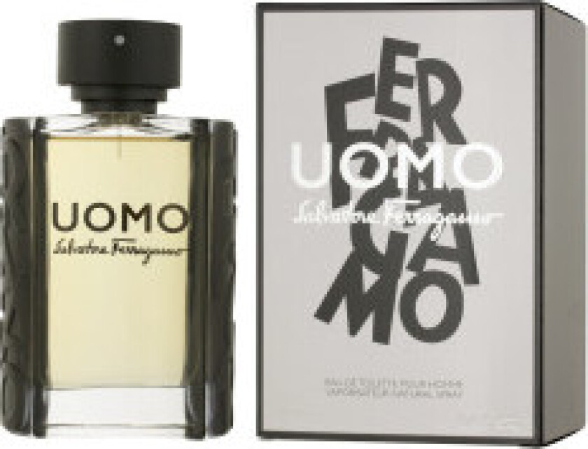 Herre parfyme Salvatore Ferragamo EDT Uomo 100 ml