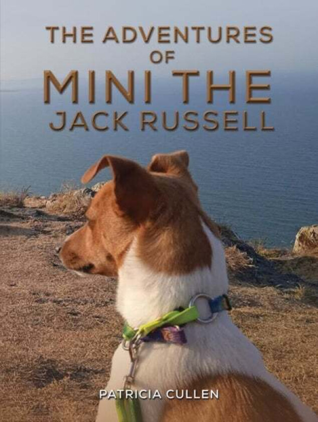 The Adventures of Mini the Jack Russell av Patricia Cullen