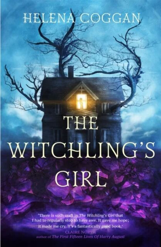The Witchling's Girl av Helena Coggan