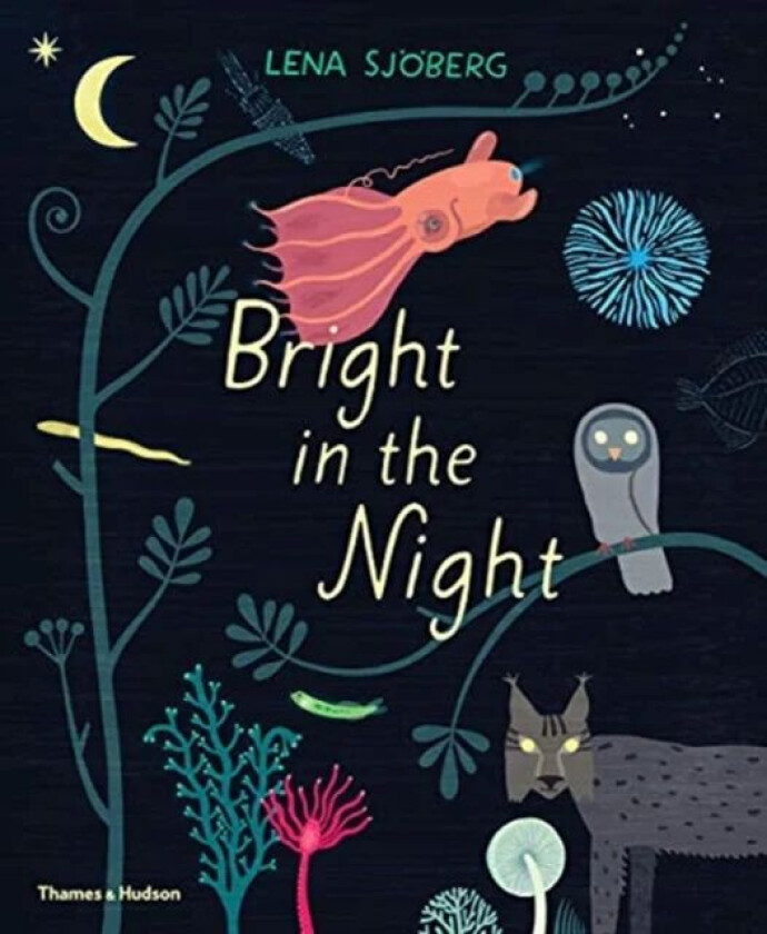 Bright in the Night av Lena Sjoeberg
