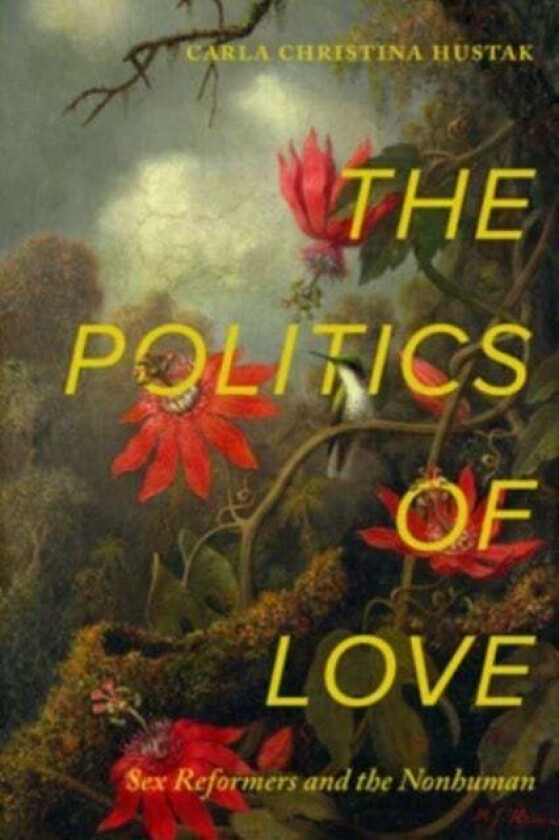 The Politics of Love av Carla Christina Hustak