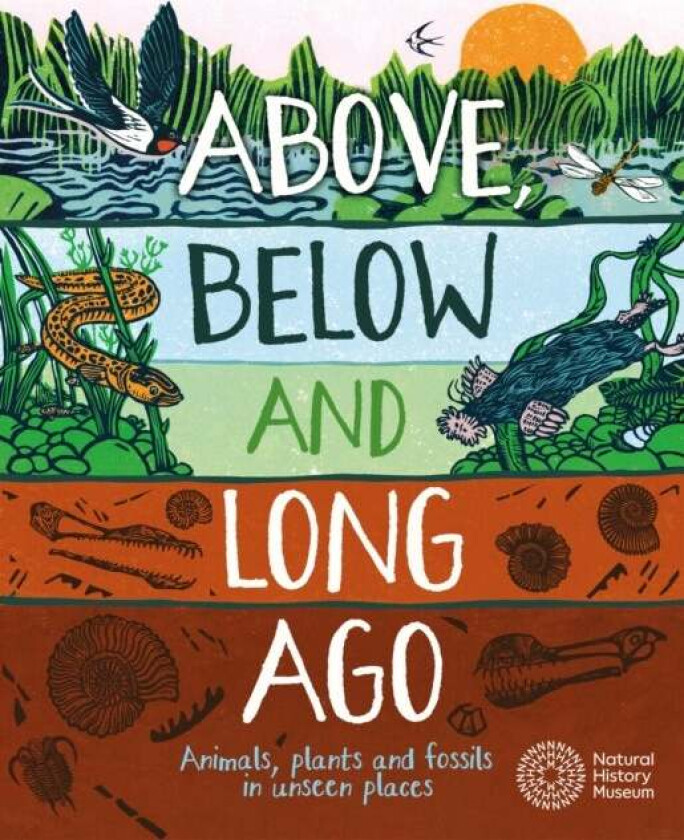 Above, Below and Long Ago av Michael Bright