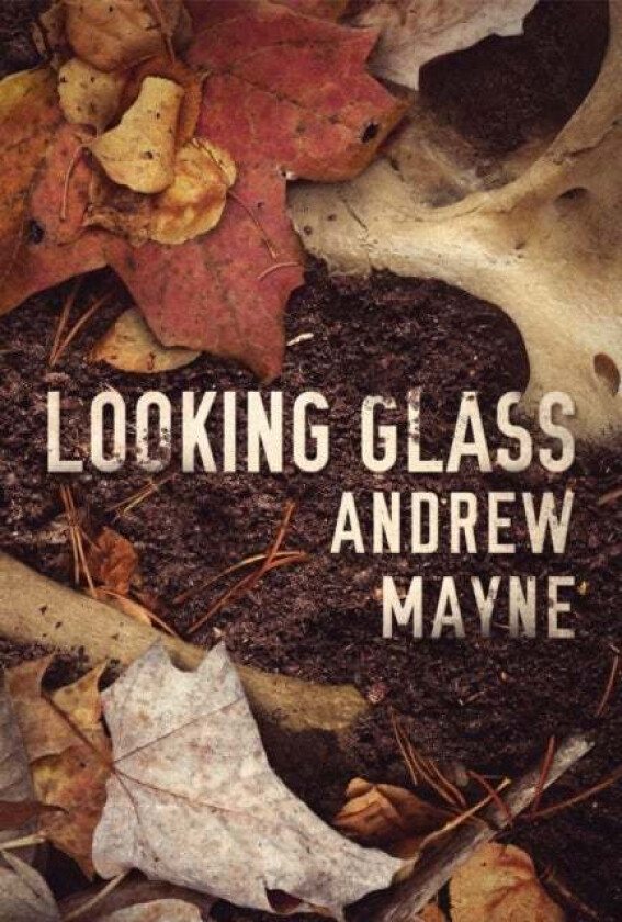 Looking Glass av Andrew Mayne