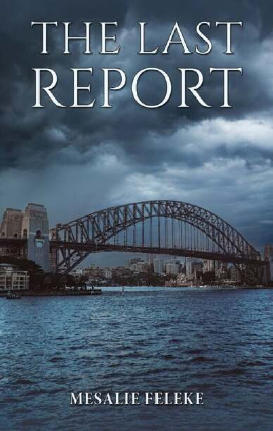 The Last Report av Mesalie Feleke