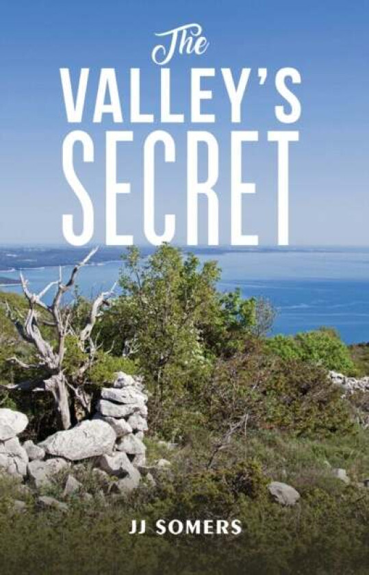 The Valley's Secret av JJ Somers