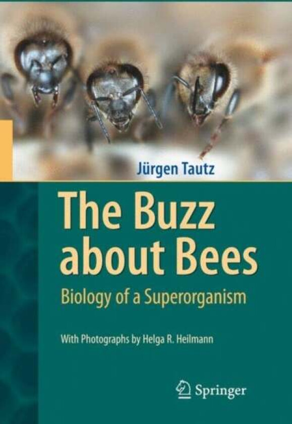 The Buzz about Bees av Jurgen Tautz