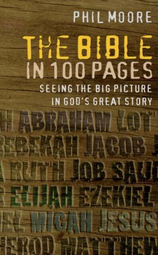 The Bible in 100 Pages av Phil Moore