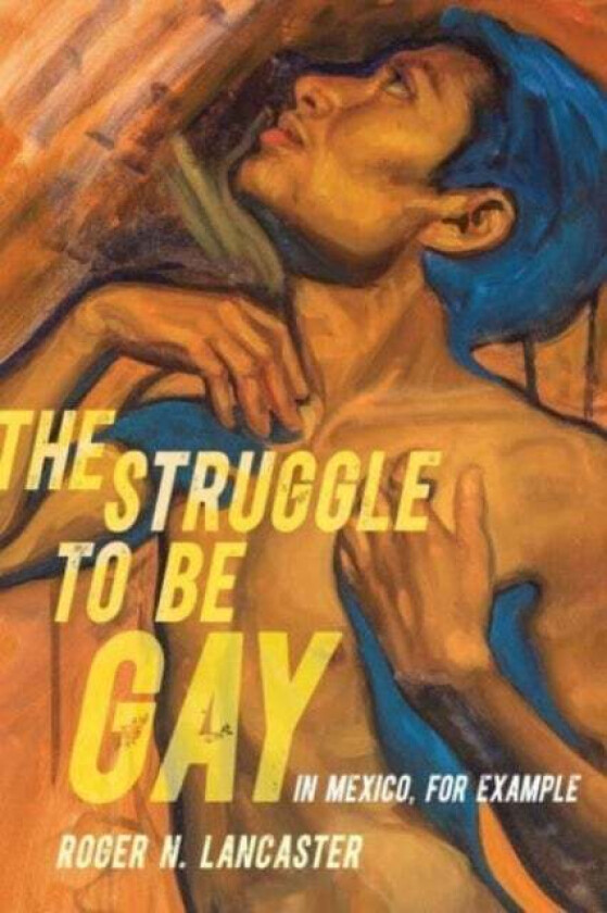 The Struggle to Be Gay¿in Mexico, for Example av Roger N. Lancaster