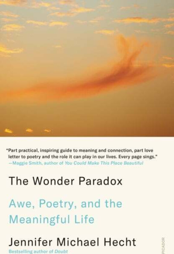 The Wonder Paradox av Jennifer Michael Hecht