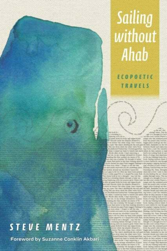 Sailing without Ahab av Steve Mentz