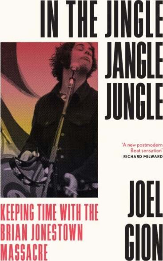 Mr Tambourine Man av Joel Gion