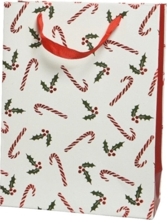 Ikke Spesifisert_V Gavepose 18X24cm 461845