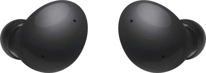 Galaxy Buds2 Bundle, graphite