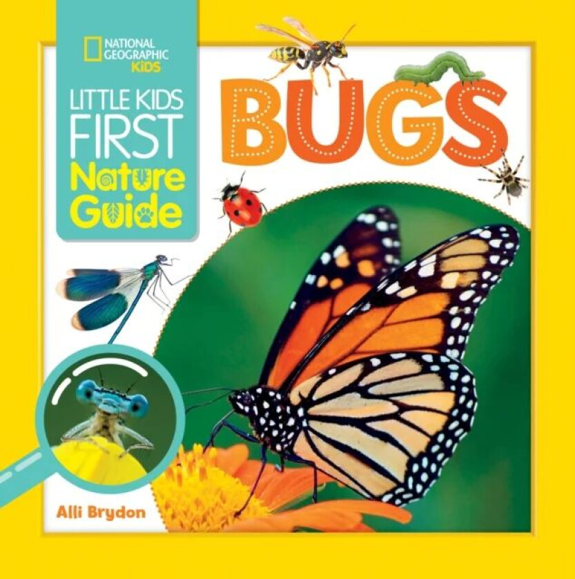 Little Kids First Nature Guide Bugs av National Geographic Kids