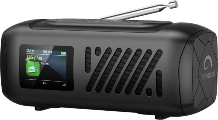 Viola Bluetooth-høyttaler med radio, svart