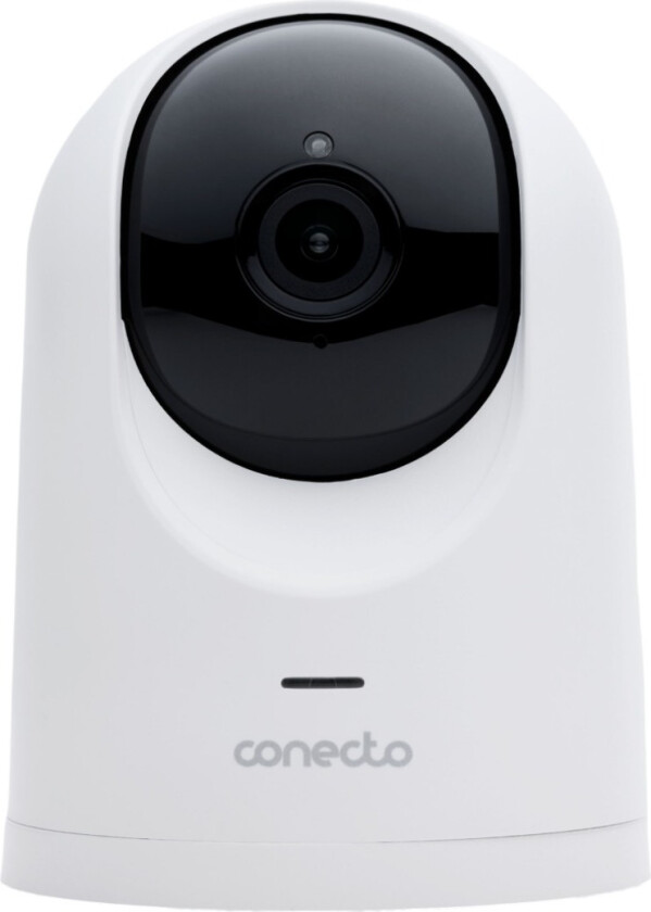 Pan&tilt overvåkingskamera 2MP