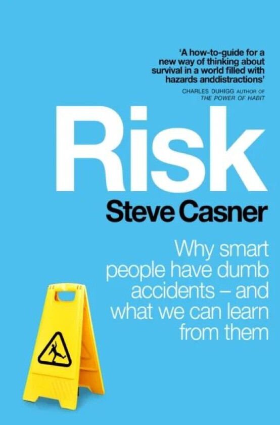 Risk av Steve Casner