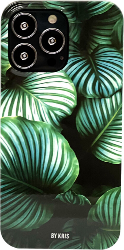 iPhone 13 Pro Bakdeksel Calathea orbifolia