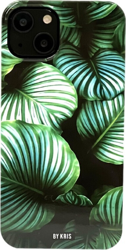 iPhone 13 Bakdeksel Calathea orbifolia