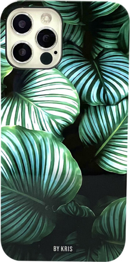 MagSafe Bakdeksel iPhone 12/12 Pro Calathea orbifolia