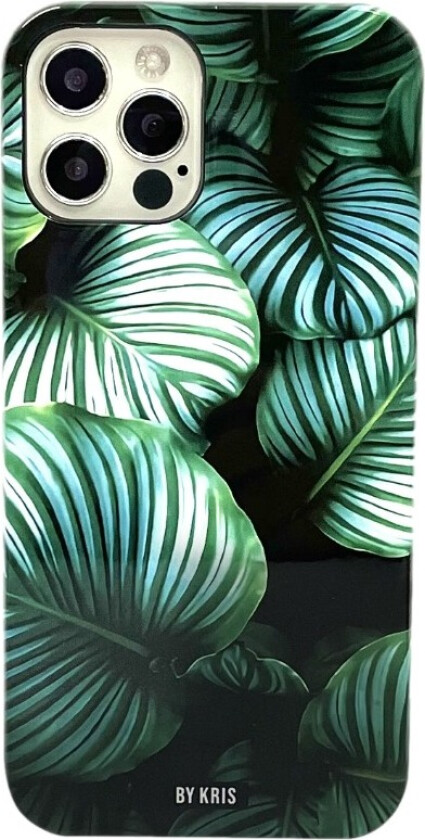 iPhone 12 Pro Max deksel Calathea orbifolia