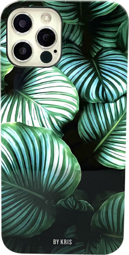 iPhone 12/12 Pro deksel Calathea orbifolia