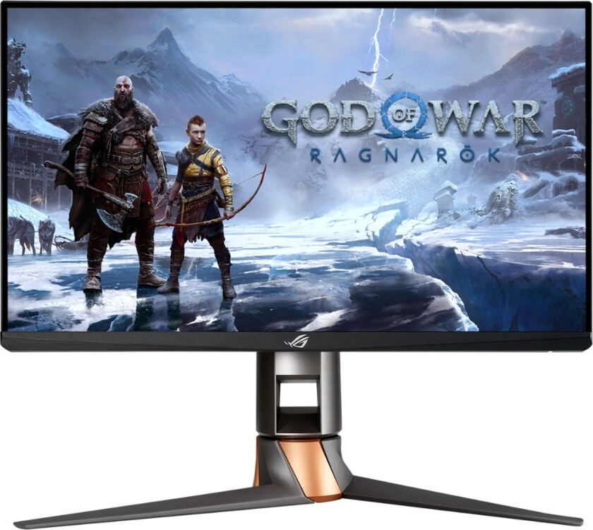 ASUS ROG Swift 360HZ PG259QN 24,5" gamingskjerm