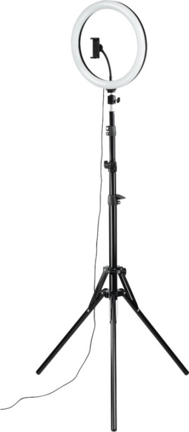 spotlight Steady 120 LED ringlys