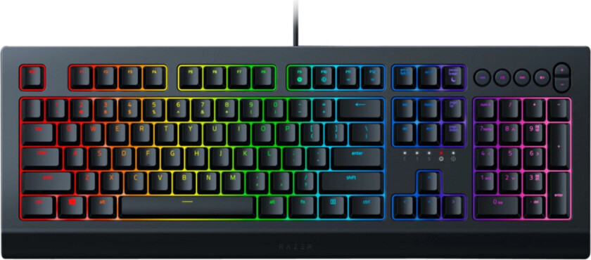 Cynosa V2 gamingtastatur