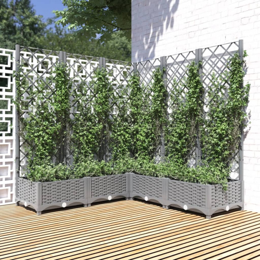 Plantekasse med espalier lysegrå 120x120x121,5 cm PP