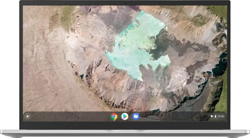 ASUS Chromebook C425TA-H50041 bærbar PC