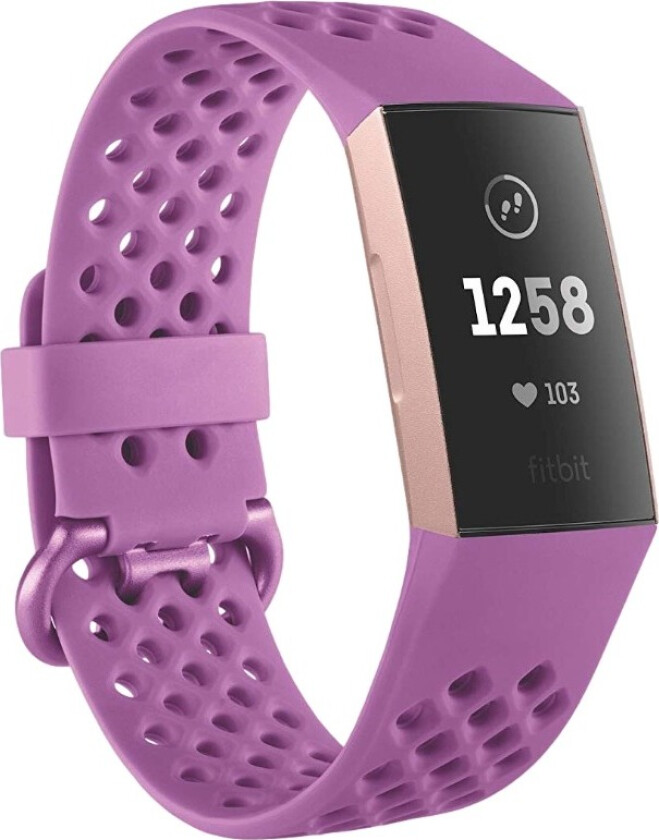 Charge 3 sportsrem Stor bær