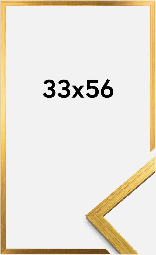 Ramme Edsbyn Gull 33x56 Cm