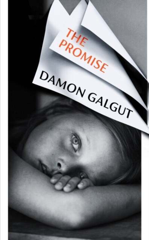 The promise av Damon Galgut