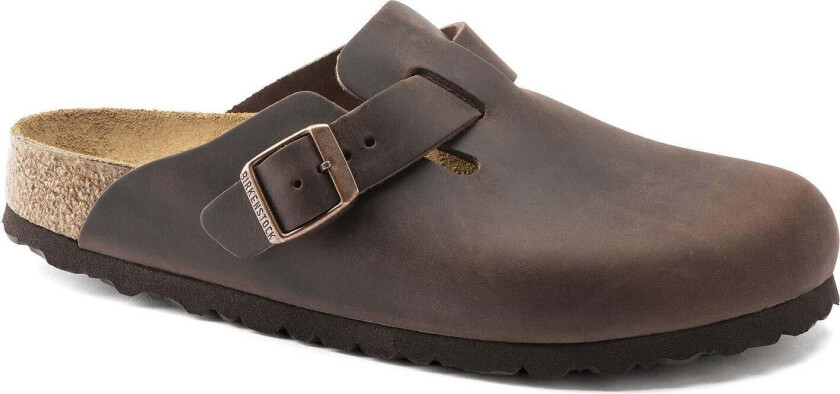 Unisex Boston Oiled Leather Regular Habana 42