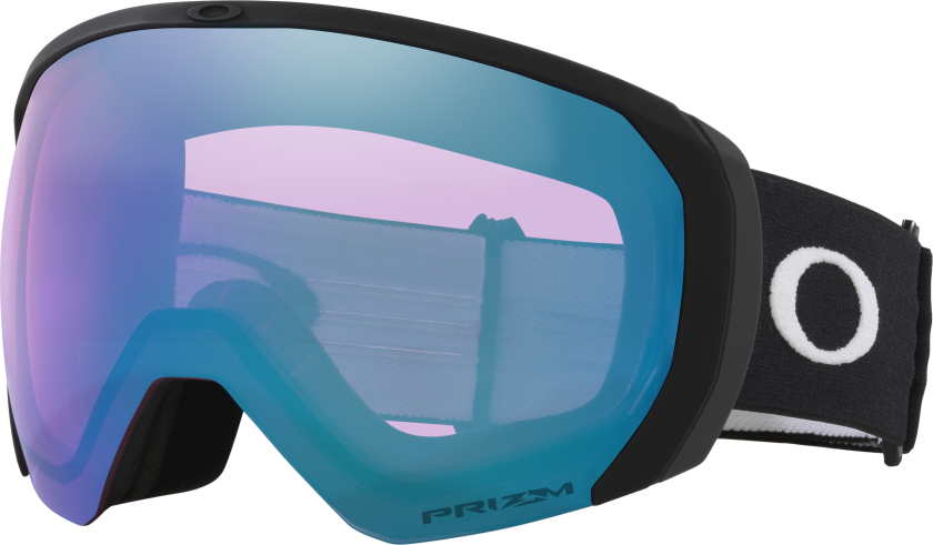 Men's Flight Path L Snow Goggles