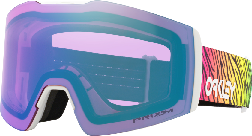 Men's Fall Line M Snow Goggles