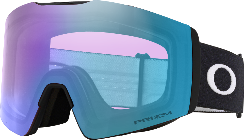 Men's Fall Line L Snow Goggles