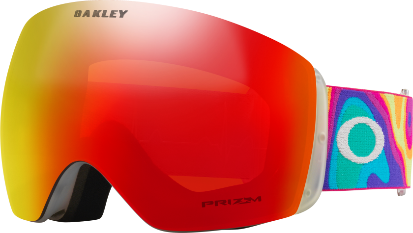 Men's Flight Deck™ L Snow Goggles