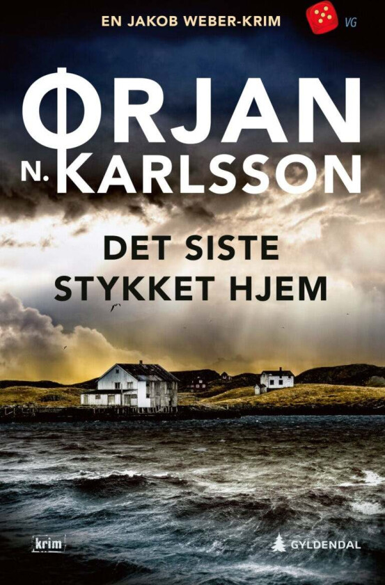 Det siste stykket hjem av Ørjan N. Karlsson