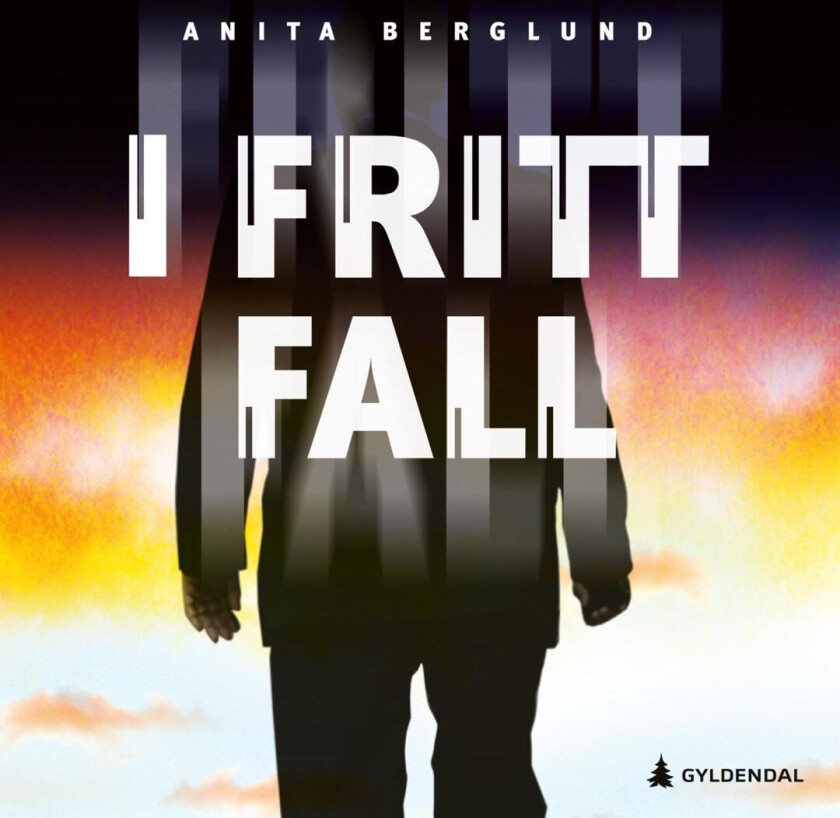 I fritt fall av Anita Berglund