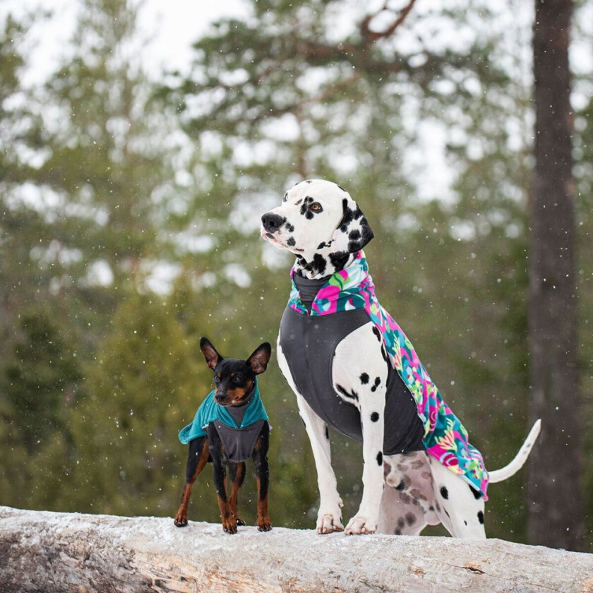 Jumppa Hundedekken Trail (52)