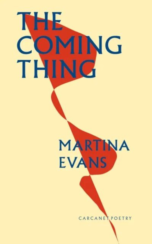 The Coming Thing av Martina Evans