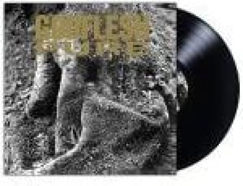 Godflesh - Pure (Vinyl Lp)