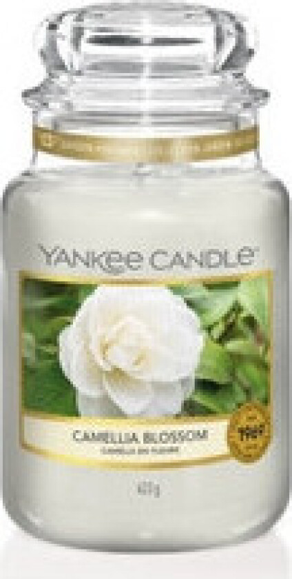 - Camellia Blossom Candle - Scented candle 623.0g